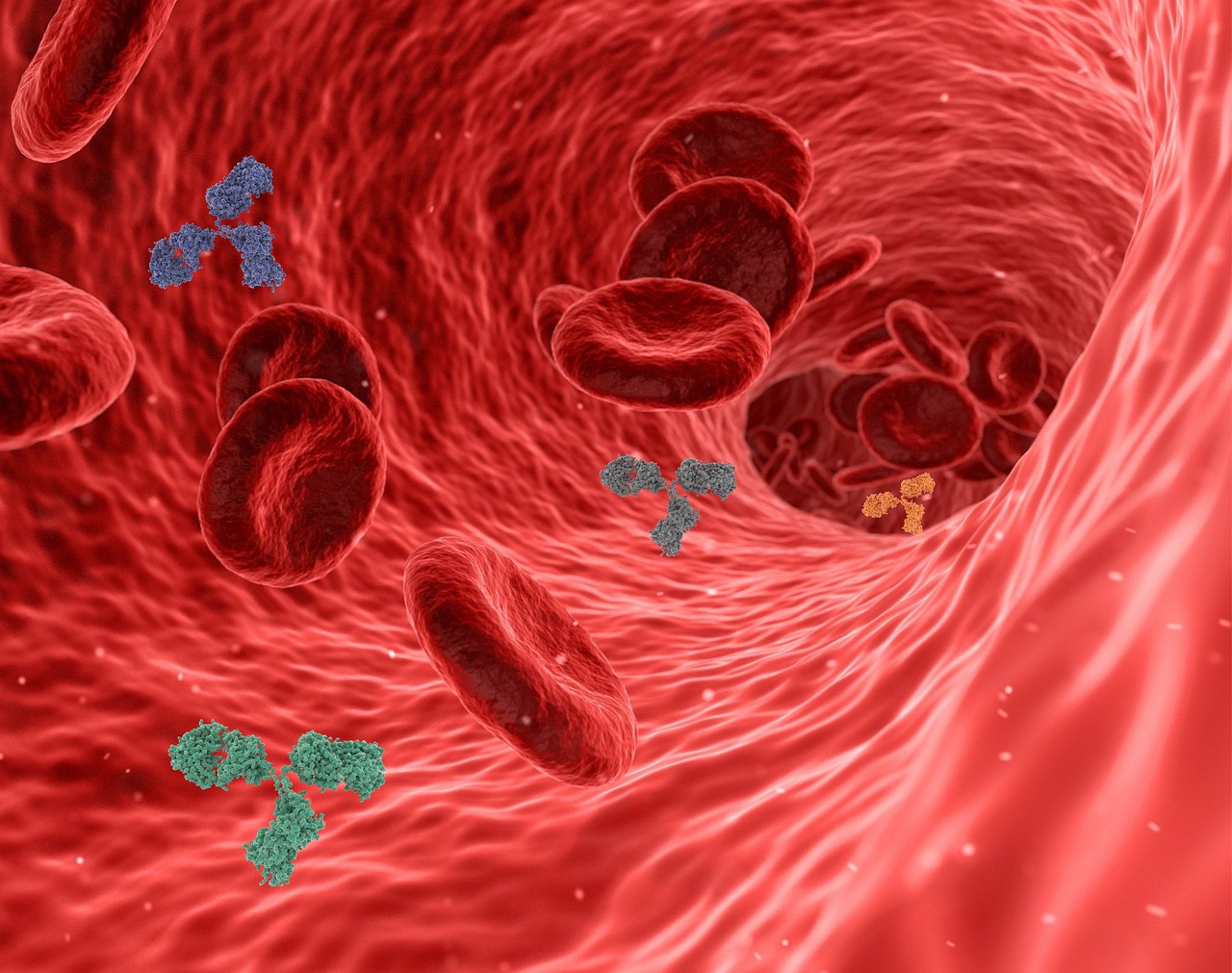 Welche Lebensmittel stärken unser Immunsystem am effektivsten?